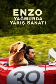 Enzo: Yağmurda Yarış Sanatı