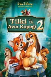 Tilki ve Avcı Köpeği 2